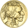 1 oz american gold buffalo coin, random year, gold bullion, gold coin, gold bullion coin